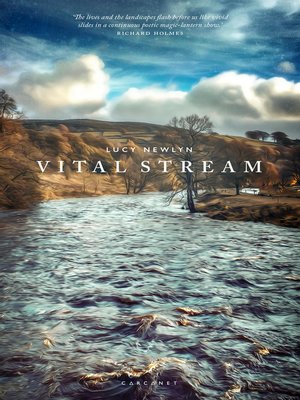 cover image of Vital Stream